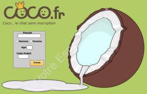 Connexion à mon compte Coco premium payant par tel
